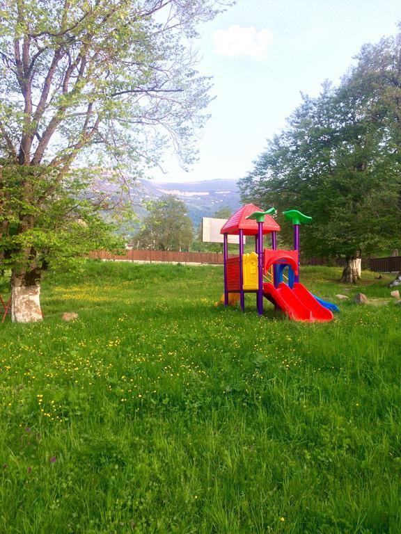 Villa Didveli Bakuriani Exterior foto